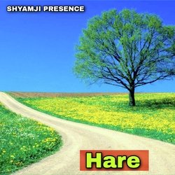 Hare-FCQyXzFcUHE