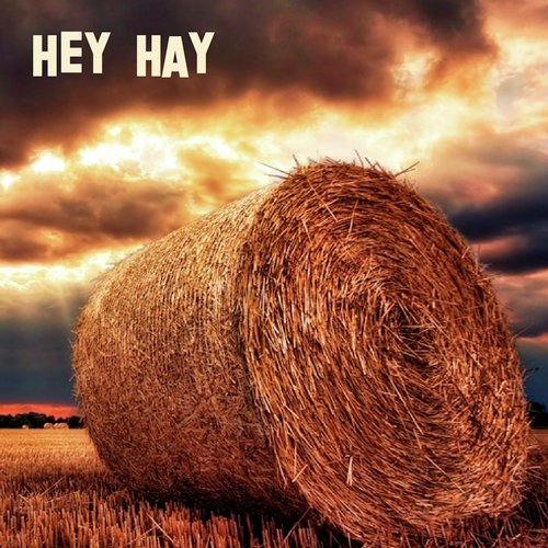 Basic Barley cover art