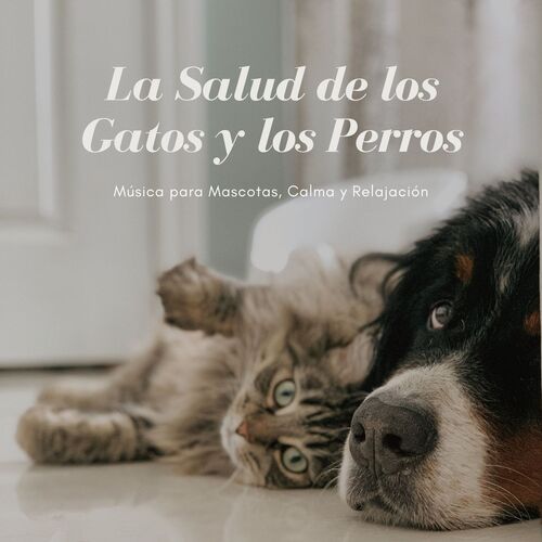 Música para Perros cover art