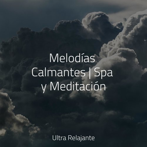 Melodías Calmantes | Spa y Meditación