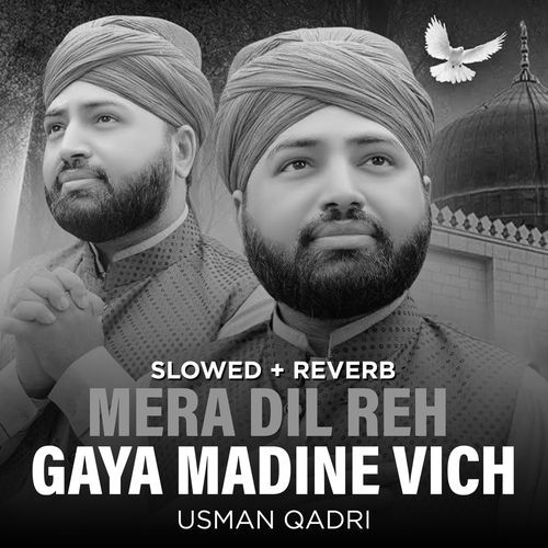 Mera Dil Reh Gaya Madine Vich (Lofi-Mix)