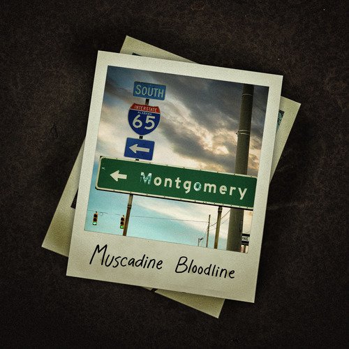 Montgomery cover art