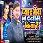 Pyar Mera Badnam Kiya Hain