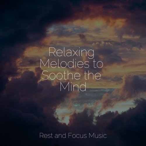 Feel the Cosmos cover art