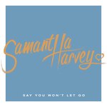 Say You Won't Let Go