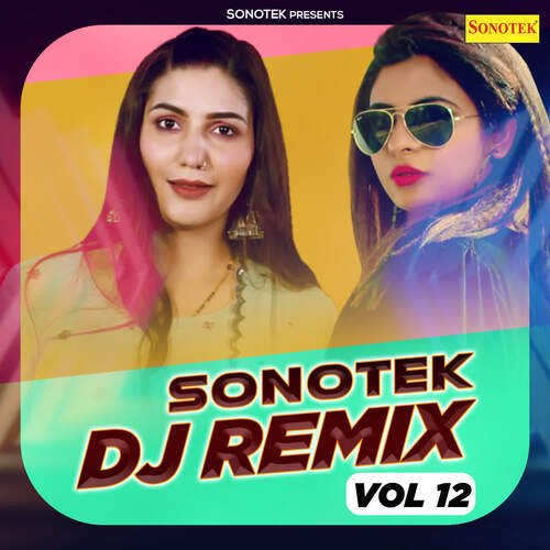 Sonotek DJ Remix Vol 12