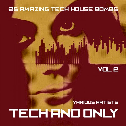 Tech and Only (25 Amazing Tech House Bombs), Vol. 2