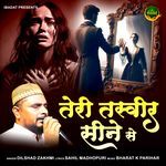 Teri Tasveeer Seene Se