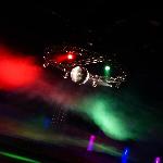 The Forested Peninsula