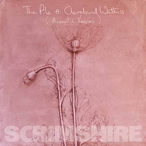 The Pile (Acoustic Version)_poster_image