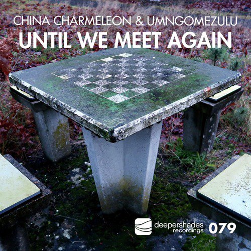 Until We Meet Again_poster_image