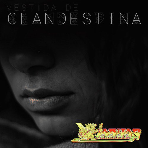 Vestida de Clandestina