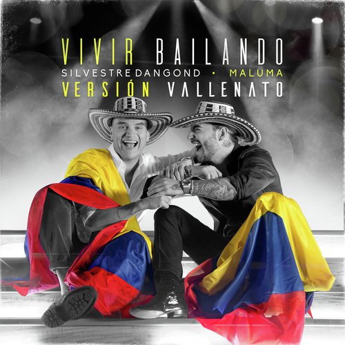 Vivir Bailando (Vallenato Version)_poster_image