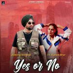 YES OR NO