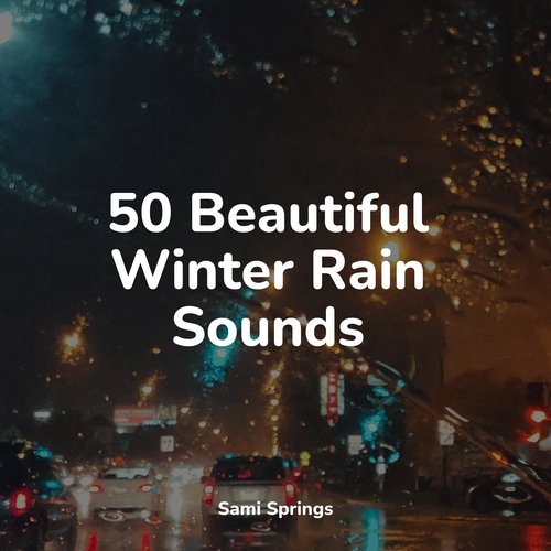 Rain, Storm and Thunder cover art