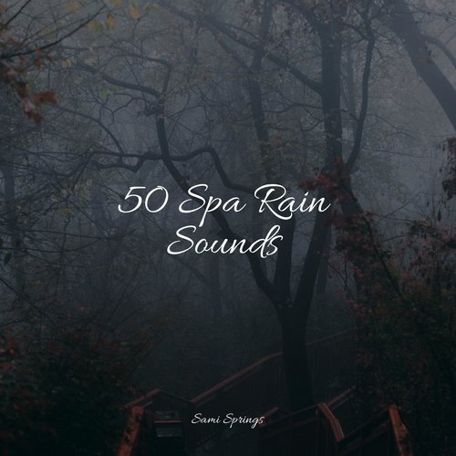 50 Loopable Rain Sounds for Sleep