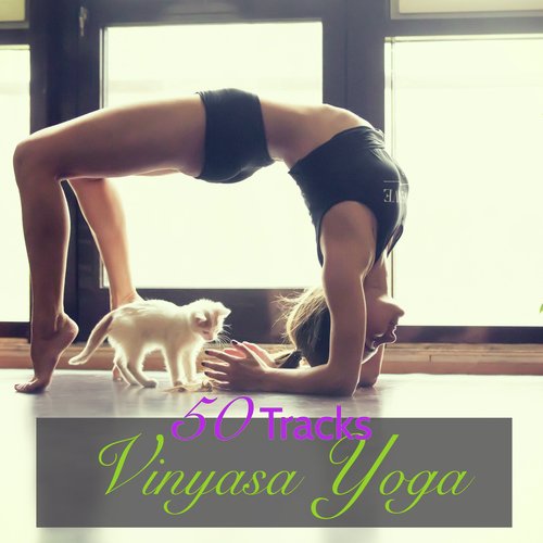 50 Vinyasa Yoga Tracks – World & Ambient Music