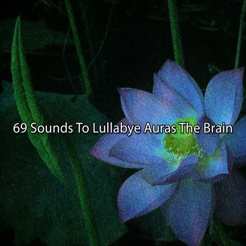 69 Sounds To Lullabye Auras The Brain_poster_image