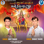 Aaya Dasama Na Vrat Mane Haiye Che Harakh