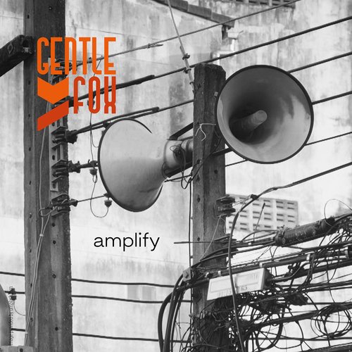 Amplify cover art