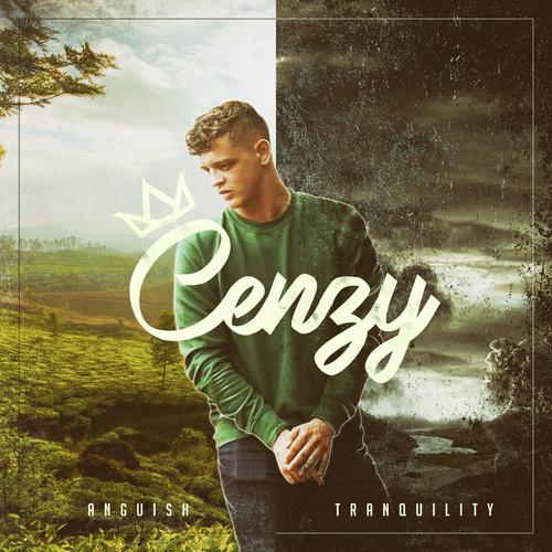 Anguish Tranquility Songs Download Free Online Songs Jiosaavn
