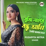 BUJENAI RE BONDHU AMI