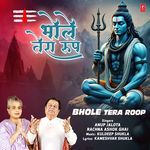 Bhole Tera Roop