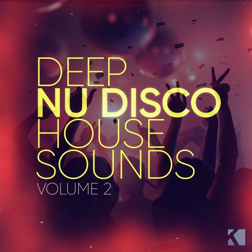 Deep Nu Disco House Sounds, Vol. 2