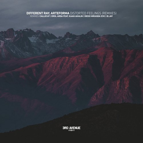 Distorted Feelings (Remixes)