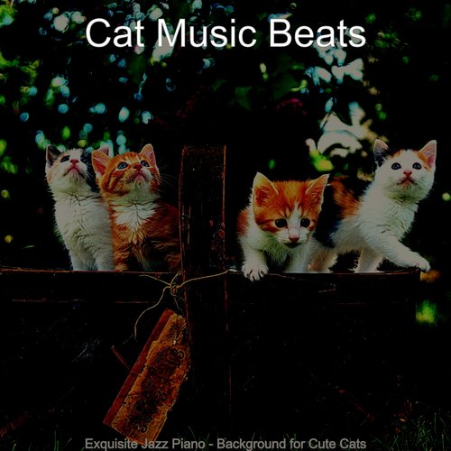 Friendly Music for Resting Cats cover art