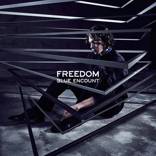 Freedom_poster_image