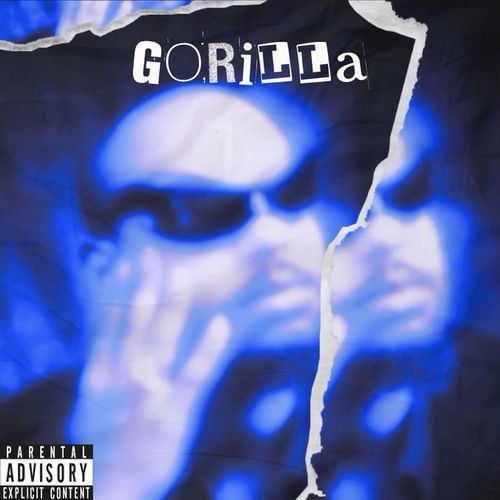 Go Rilla cover art