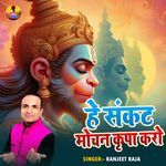 Hey Sankat Mochan Kirpa Karo