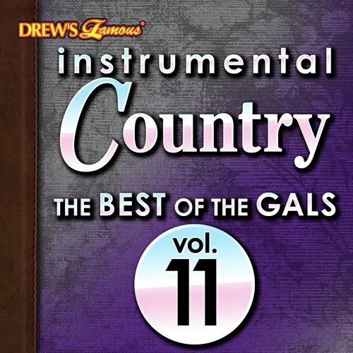 Instrumental Country: The Best of the Gals, Vol. 11