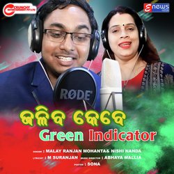 Jaliba kebe Green Indicator-CC09R0FhB0A