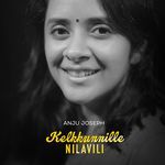 Kelkkunnille Nilavili