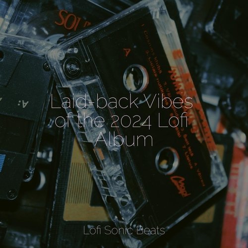 Laid-back Vibes of the 2024 Lofi Album