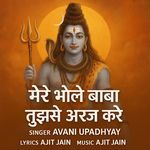 Mere Bhole Baba Tujhse Araz Kare