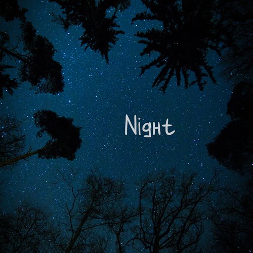 Night