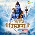Om Namah Shivay Lounge Version