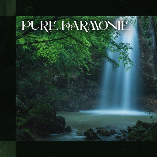 Pure harmonie: Ouvrez votre esprit à de nouvelles sensations de détente_poster_image