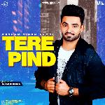 Tere Pind - Remix