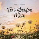 Teri Yaadon Mein