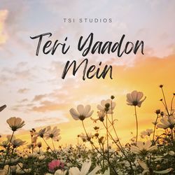 Teri Yaadon Mein