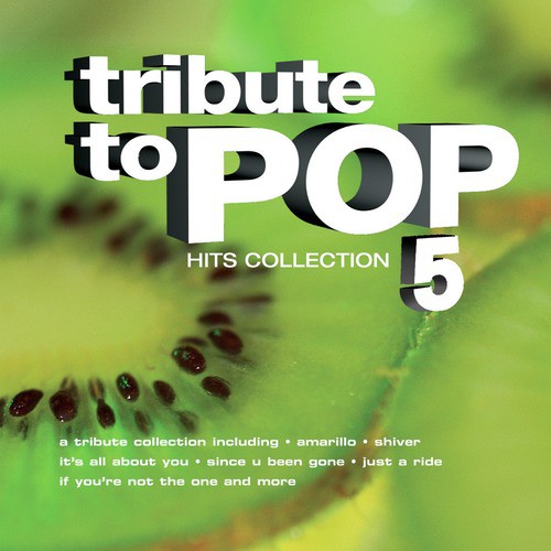 Tribute to Pop - Hits Collection 5