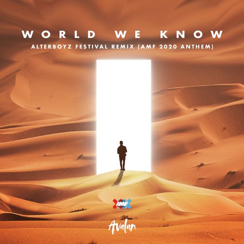 World We Know (AMF 2020 Anthem) (AlterBoyz Festival Remix)_poster_image