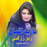 Zer Zargae, Vol. 1515