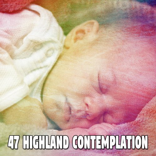 47 Highland Contemplation