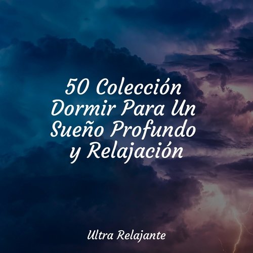 50 Colección Dormir Para Un Sueño Profundo y Relajación