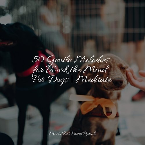 Meditating Music cover art